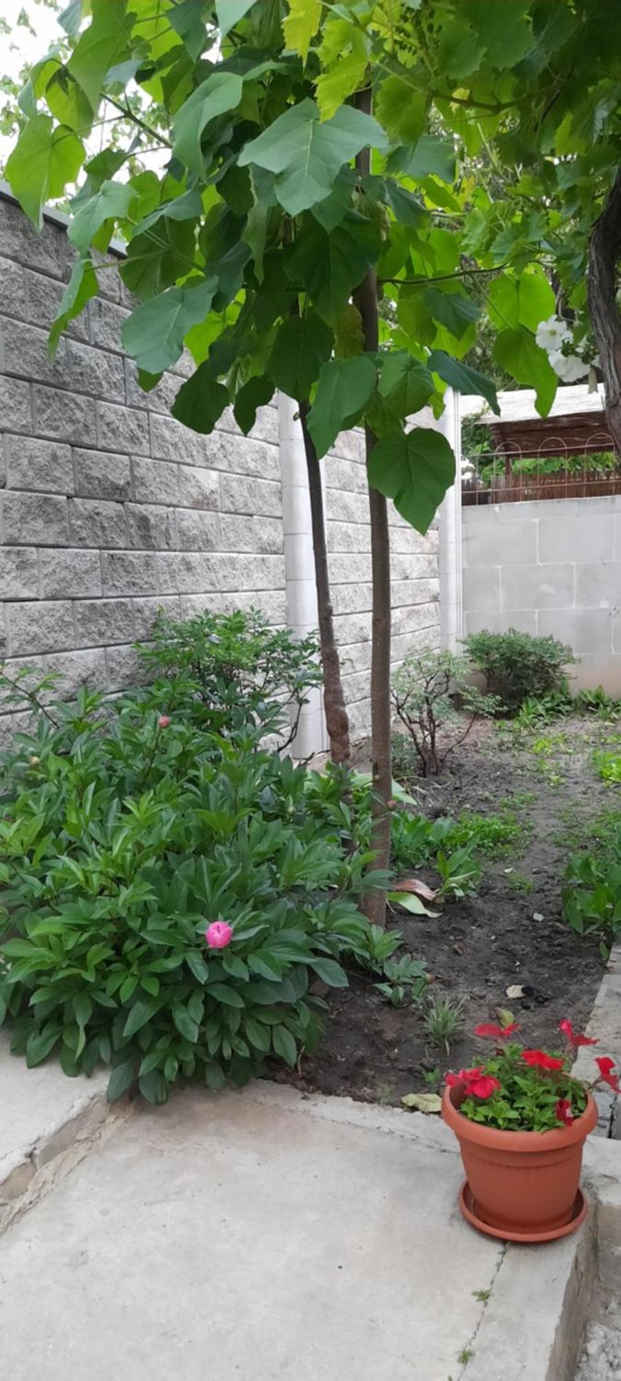 אודסה Guest House חדר תמונה